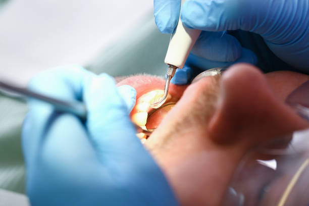 Best Emergency Pediatric Dental Care in Eming Island, FL